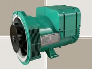 Leroy Somer Alternator